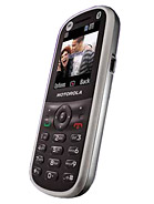 Best available price of Motorola WX288 in Brazil