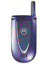 Best available price of Motorola V66i in Brazil